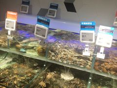 水产区-盒马鲜生(岭南新世界店)