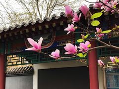 -丰台花园