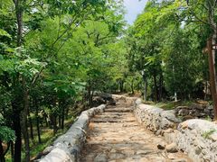 -阳台山自然风景区