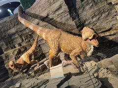 -辽宁古生物博物馆