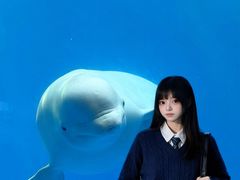 -海合安成都极地海洋公园