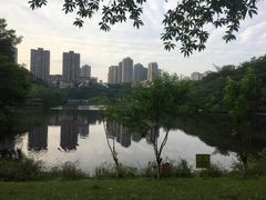 -重庆彩云湖湿地公园