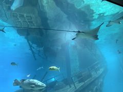 -福州罗源湾海洋世界旅游区