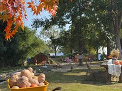 -HERRE·FARM 赫尔露营农场·团建聚会包场