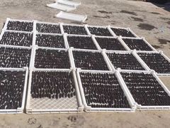 -青岛沙子口国家中心渔港