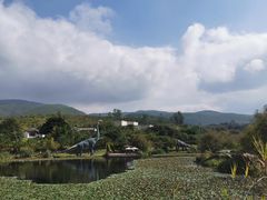 -世界恐龙谷景区
