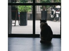 -转山咖啡(松柏社区店)