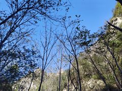 -大岭沟猕猴桃谷风景区
