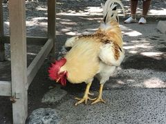 -热田神宫
