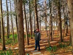 -上海长兴岛郊野公园