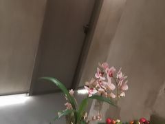 -施奈儿.洗头頭療.按摩SPA.采耳(上梅林店)