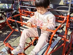 -上海海湾国家森林公园