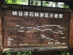 -峡谷浮石林景区