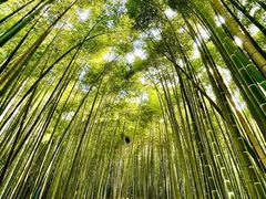 -南京珍珠泉风景区