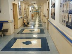 -上海市东方医院(总院)