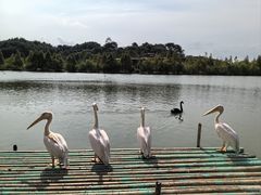-宁波野生动物园