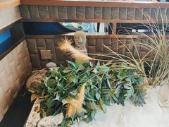 -江小渔鲜鱼火锅(西二道街店)