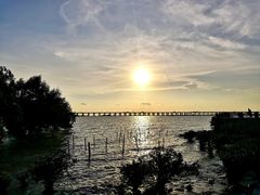 -宝安西湾红树林湿地公园