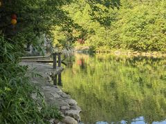 -石台牯牛降景区