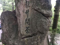 -龙井村