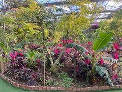 -呀路古热带植物园