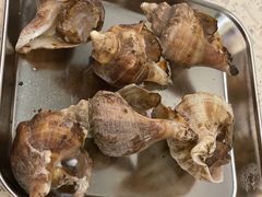 -白仁仔· 活烤海鲜 宵夜(豫园店)