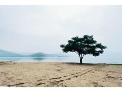 -东钱湖旅游度假区