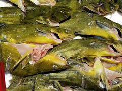 -融泽漁悦三只耳鱼火锅(南郑大道店)