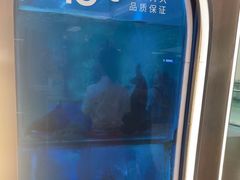 -鱼酷活鱼烤鱼(沈阳大悦城店)