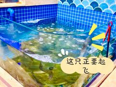 活虾-乔哥铭洋海鲜自助(皇城恒隆广场店)