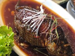-津菜宋记老房子(鼓楼店)