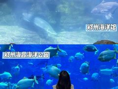 -郑州海洋馆