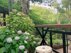 -谷咖啡·鲜花绿植花园餐厅