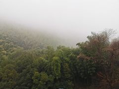 -翠茗农庄土菜馆(天目湖店)