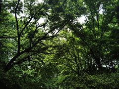 -紫金山索道-售票处