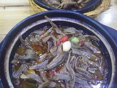 -全乐鱼馆·淳牌有机鱼直营店