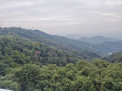 -点都德(广州白云山景区南门店)