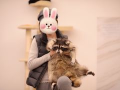 -浣熊柯尔鸭土拨鼠·电玩咖