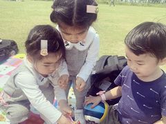 -春花秋色城市公园