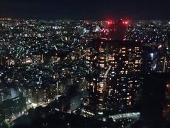 -东京都厅舍