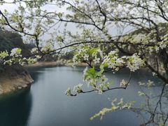 -千岛湖东南湖区