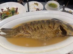 -阿庄新豫菜(航海东路店)