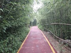 -西安汉城湖景区