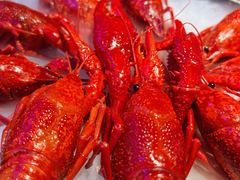 -红盔甲·小龙虾(定西路店)