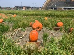 -中国天府农业博览园