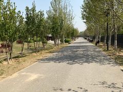 -永定河休闲森林公园