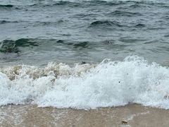 -玫瑰海岸文化旅游度假区