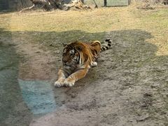 -祥源·阜阳生态乐园