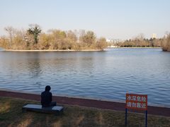 -莱西月湖公园