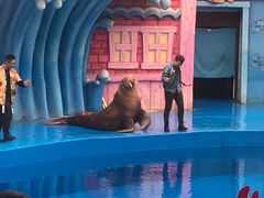 -华夏文旅海洋公园